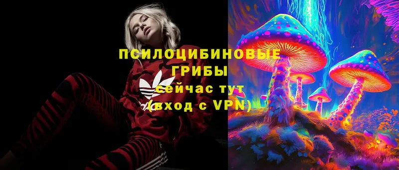 Псилоцибиновые грибы Magic Shrooms  ОМГ ОМГ маркетплейс  Цоци-Юрт 